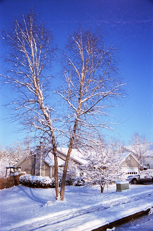 snowy strees