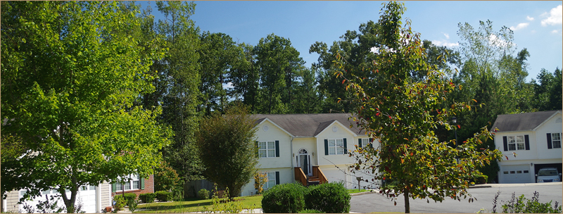 home page image